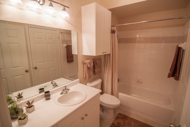 Springfield Apartments in Lubbock, Texas